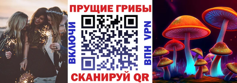 Галлюциногенные грибы Psilocybine cubensis Гусев